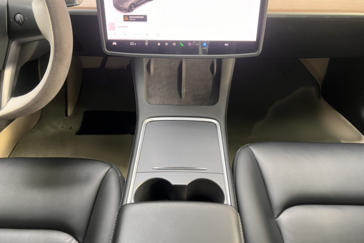 特斯拉 Model 3 2021款 标准续航后驱升级版 3D6局部细节18