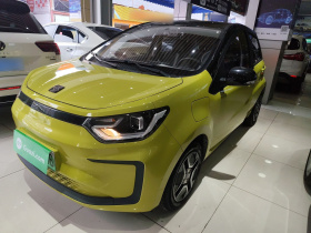 思皓 2022款 花仙子款 四叶草