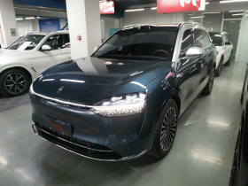 鸿蒙智行 问界M9 2024款 增程 Max版 42kWh 5座版