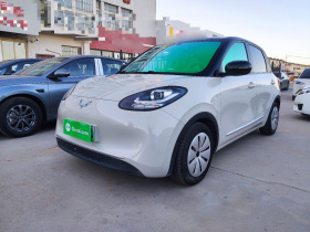 五菱汽车 五菱缤果 2023款 203km 轻享款