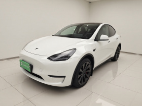 特斯拉 Model Y 2023款 长续航全轮驱动版