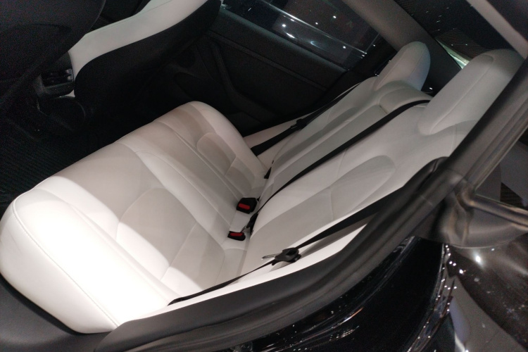 特斯拉 Model 3 2022款 后轮驱动版中控内饰7004