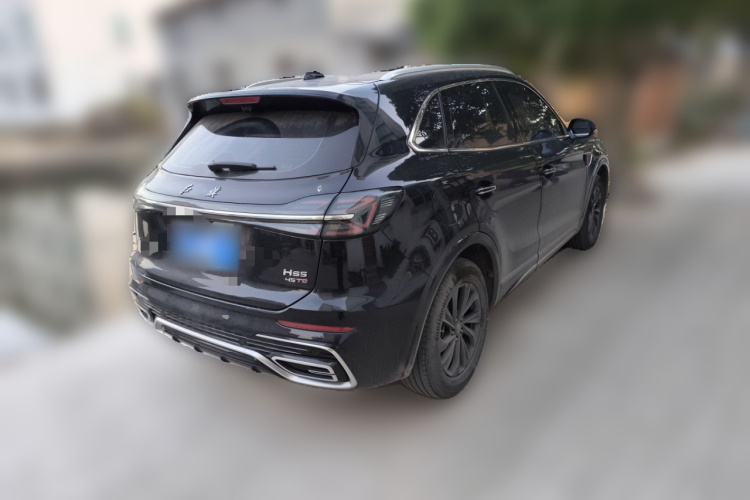 红旗HS5 2023款 2.0T 旗享Pro版车身外观7