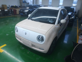 欧拉黑猫 2021款 351km 标准型