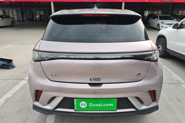 比亚迪 海豚 2021款 401km 骑士版车身外观6004