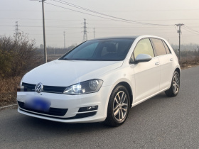 大众 高尔夫 2016款 230TSI 自动豪华型