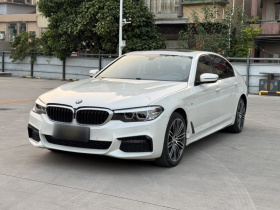 宝马5系 2019款 530Li 领先型 M运动套装
