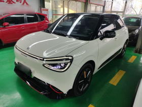 东风纳米 纳米01 2024款 共创版  共创WE版