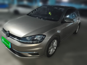 大众 高尔夫 2018款 230TSI 自动舒适型