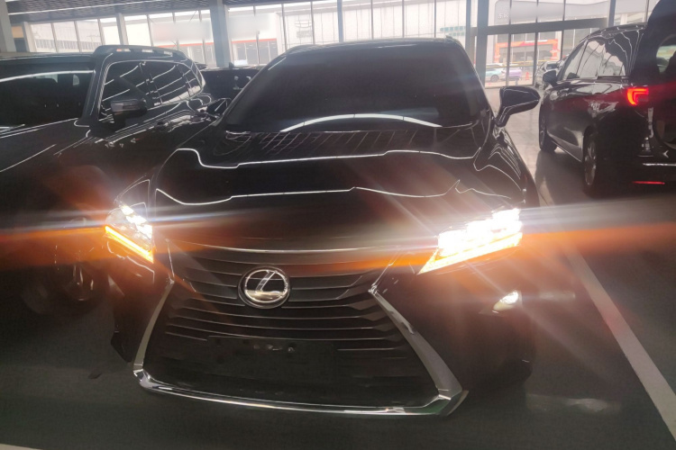 雷克萨斯RX 2016款 300 四驱典雅版 国V车身外观6001