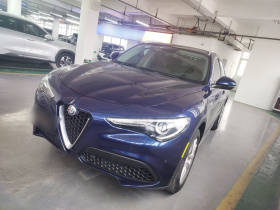 阿尔法·罗密欧 Stelvio斯坦维 2017款 2.0T 200HP 豪华版