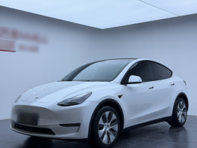 特斯拉 Model Y 2022款 长续航全轮驱动版