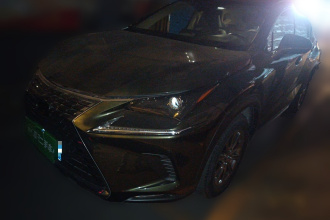 雷克萨斯NX 2020款 200 全驱 锋尚版 国VI