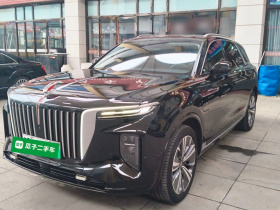 红旗E-HS9 2021款 460km 旗享版 六座