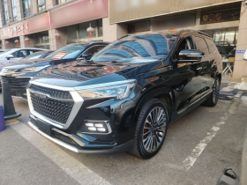 捷途X95 2020款 1.6T DCT探索Pro版 5座