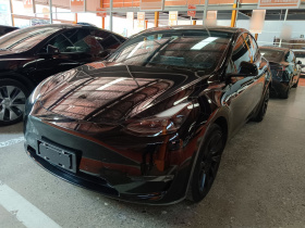 特斯拉 Model Y 2021款 标准续航后驱版