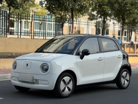 欧拉黑猫 2021款 301km 基础型