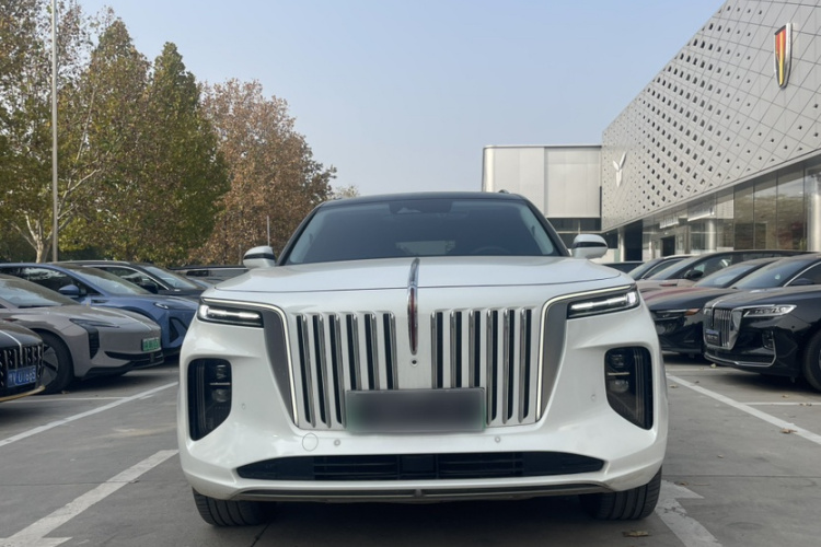 红旗E-HS9 2022款 660km 旗畅版 六座车身外观6008
