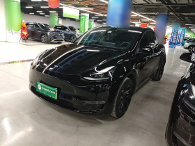 特斯拉 Model Y 2021款 长续航全轮驱动版