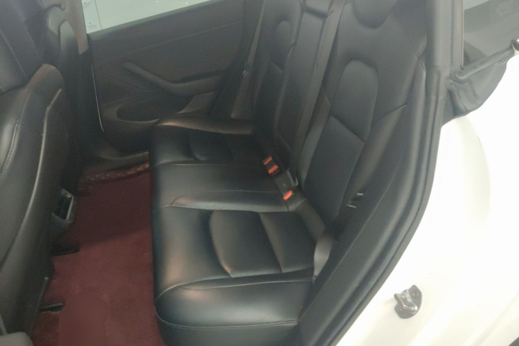 特斯拉 Model 3(进口) 2019款 长续航后驱版中控内饰21