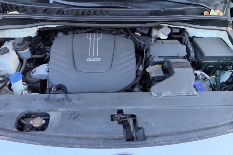 起亚 嘉华(进口) 2015款 3.3GDI 豪华版 国IV局部细节24