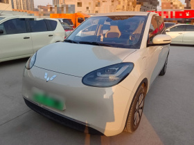 五菱汽车 五菱缤果 2023款 333km 悦享+款