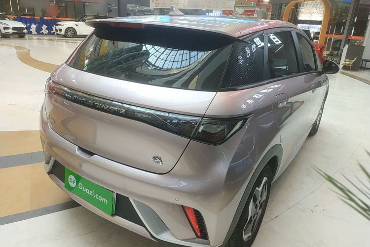 比亚迪 海豚 2021款 405km 时尚版车身外观6005