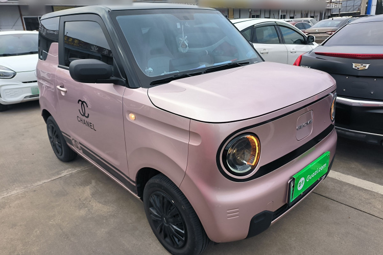 吉利银河 2023款 熊猫mini 200km 耐力熊车身外观6002
