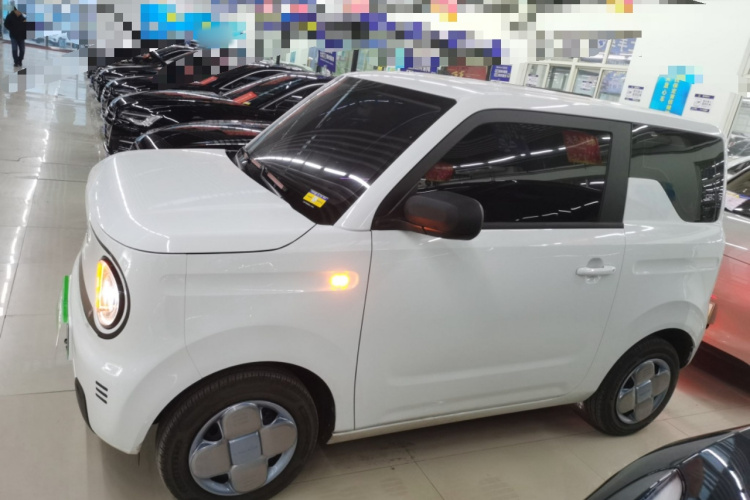 吉利银河 2024款 熊猫mini 200km 耐力熊车身外观6003