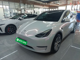 特斯拉 Model Y 2021款 标准续航后驱版