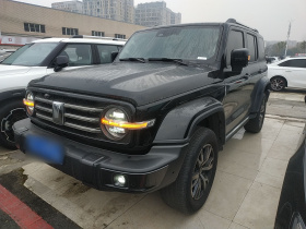 坦克300 2021款 城市版 2.0T 很有型