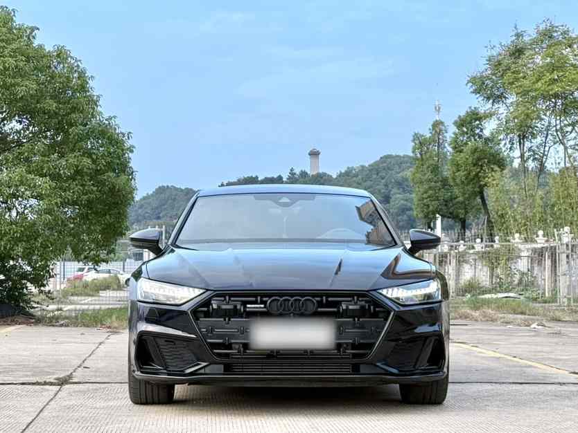 奥迪A7L 2024款 45 TFSI quattro 黑武士版(3)
