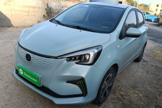 长安欧尚 奔奔E-Star 2022款 清心版 多彩款 磷酸铁锂