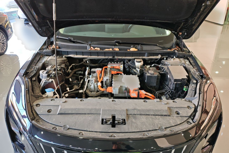 红旗E-QM5 2023款 改款 基础出行版机舱底盘24