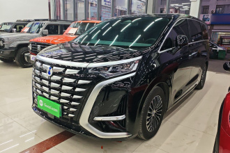 腾势D9 2022款 DM-i 1040 尊贵型