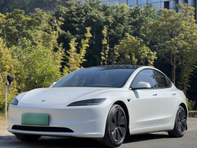 特斯拉 Model 3 2023款 后轮驱动版