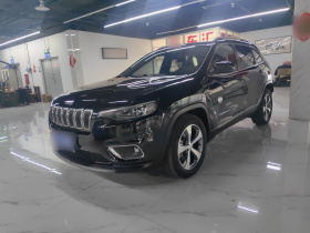 Jeep 自由光 2020款 2.0T 两驱领先版