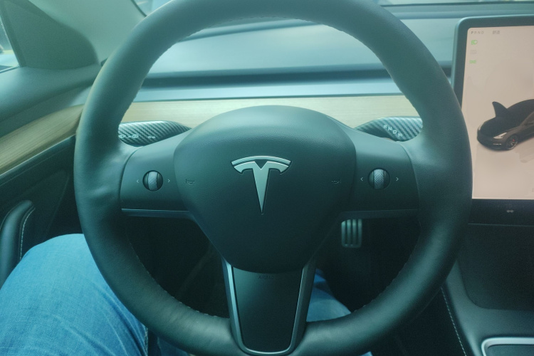 特斯拉 Model 3 2021款 改款二 Performance高性能全轮驱动版中控内饰13