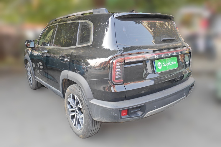 哈弗大狗 2024款 1.5T DCT边牧版车身外观6003