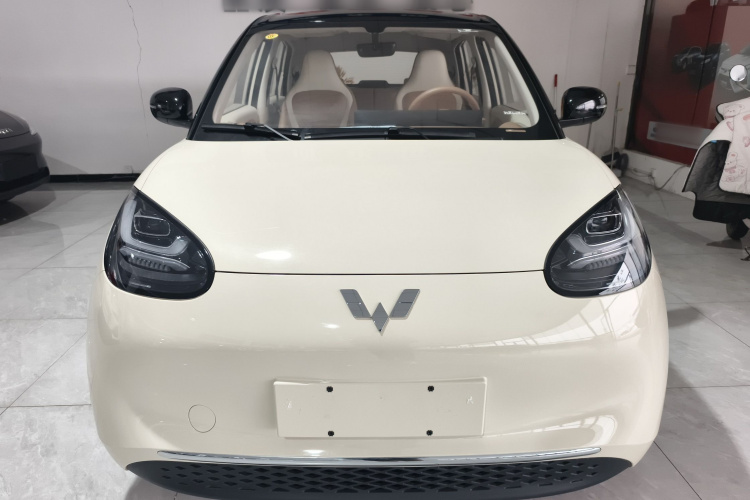 五菱汽车 五菱缤果 2025款 333km 灵犀互联款车身外观2