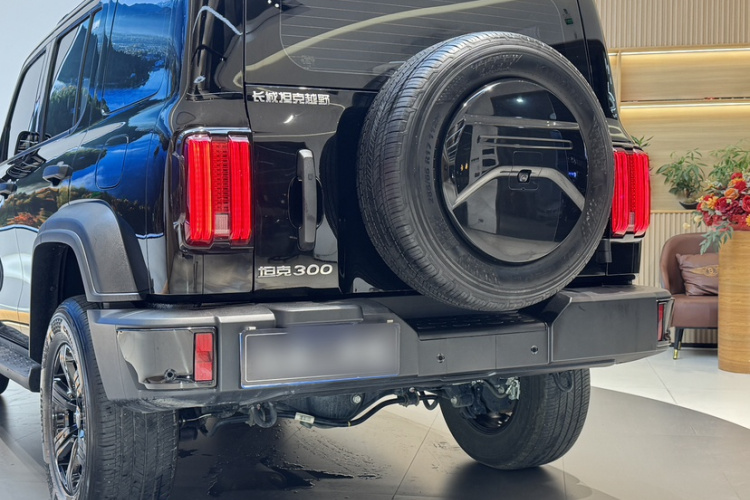 坦克300 2024款 2.0T 挑战者车身外观6003