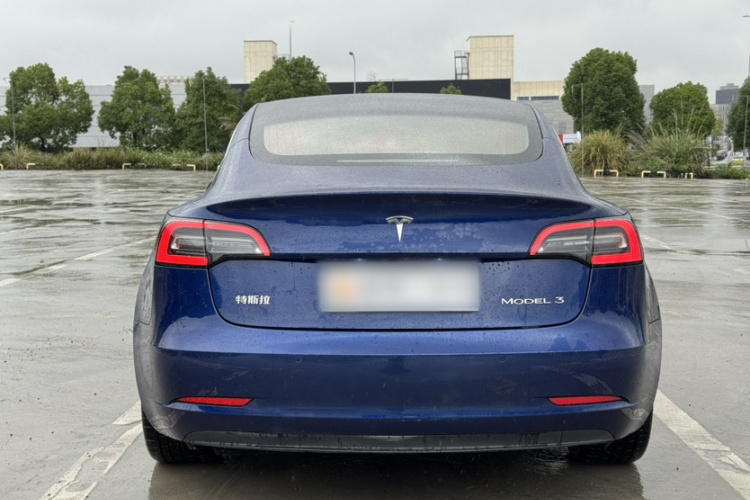 特斯拉 Model 3 2019款 标准续航后驱升级版车身外观6003