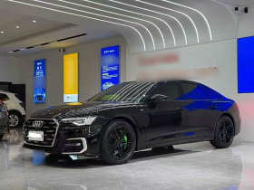 奥迪A6L 2023款 改款 45 TFSI 臻选动感型