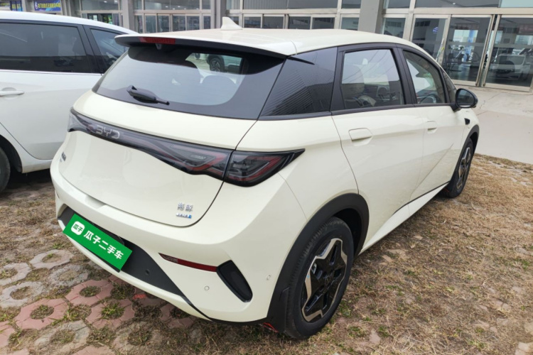 比亚迪 海豚 2025款 智驾版 420km 自由版车身外观6005