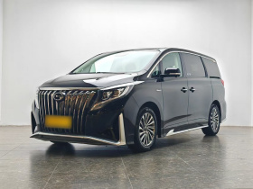 广汽传祺 传祺M8 2021款 大师系列 390T 至尊版