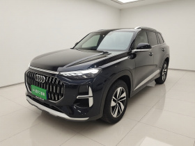 奥迪Q6 2024款 40 TFSI quattro 观云型 羽林套装 7座