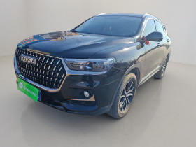 哈弗H6 2023款 国潮版 1.5T 自动都市版