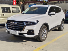 哈弗H6 2021款 国潮版 1.5T 自动冠军版