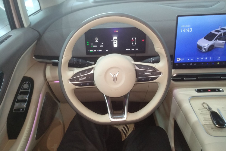 岚图汽车 岚图梦想家 2025款 PHEV 四驱尊贵鲲鹏版局部细节13