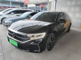 大众 帕萨特 2024款 380TSI 星空豪华版